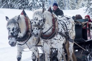 8 Great booster club winter fundraiser ideas for those cold months!