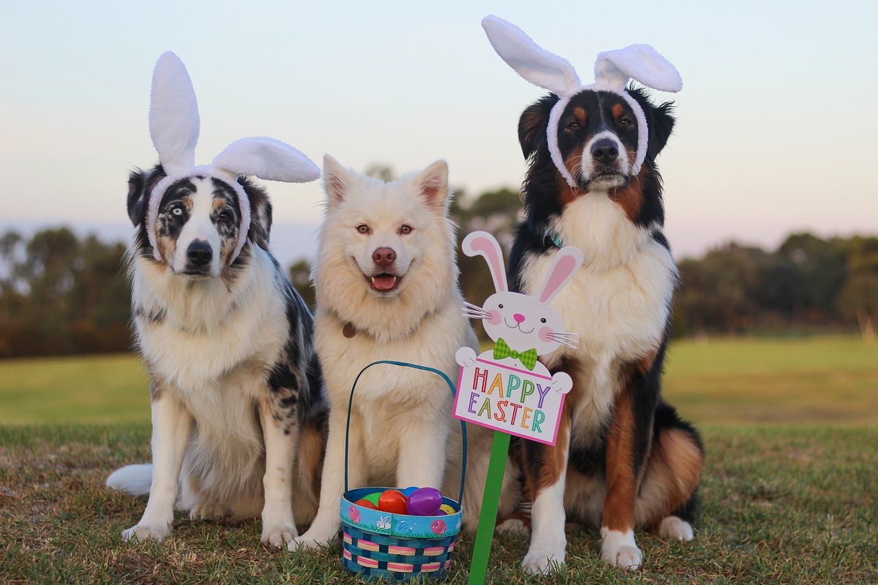 8 Easter Booster Club Fundraiser Ideas