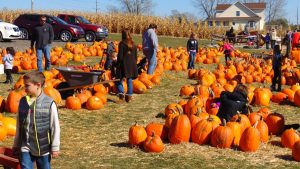 Halloween Pumpkin Patch Fundraiser for Booster Clubs