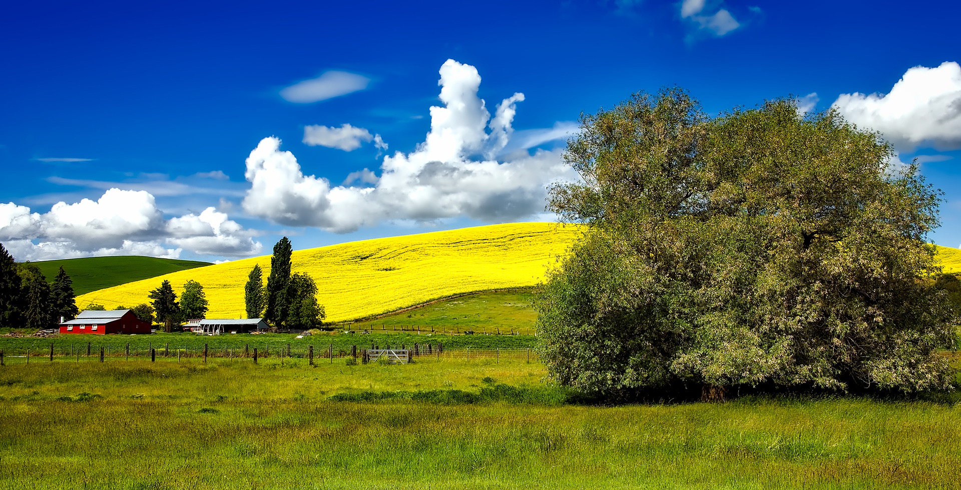 Idaho countryside