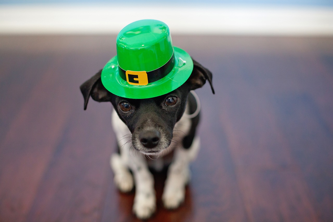 10 Great St. Patrick’s Day Fundraisers For Booster Clubs