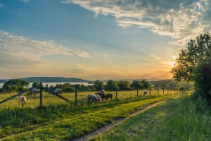 4h Booster Club supported farm pastures