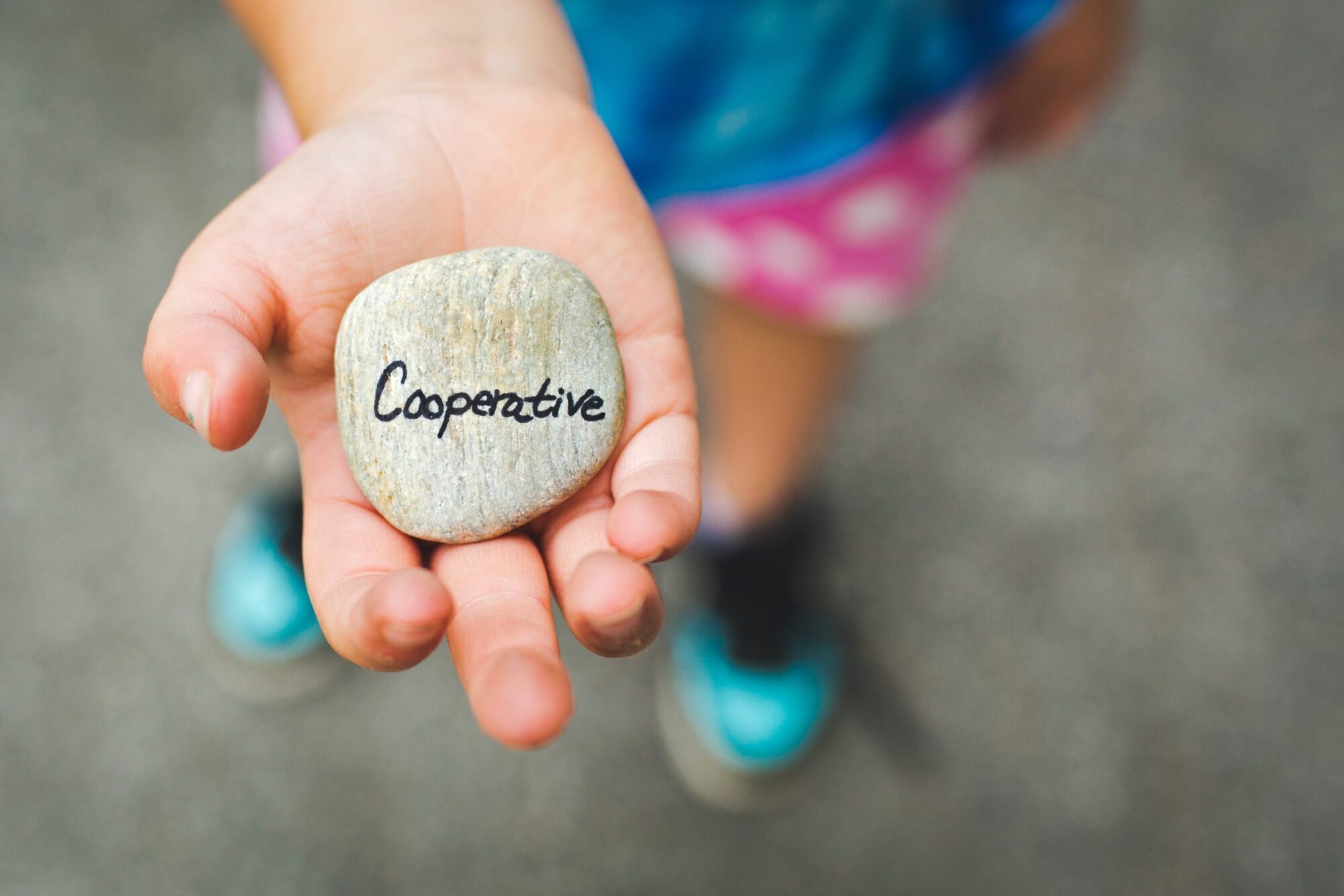 Cooperative fundraising and its pros and cons