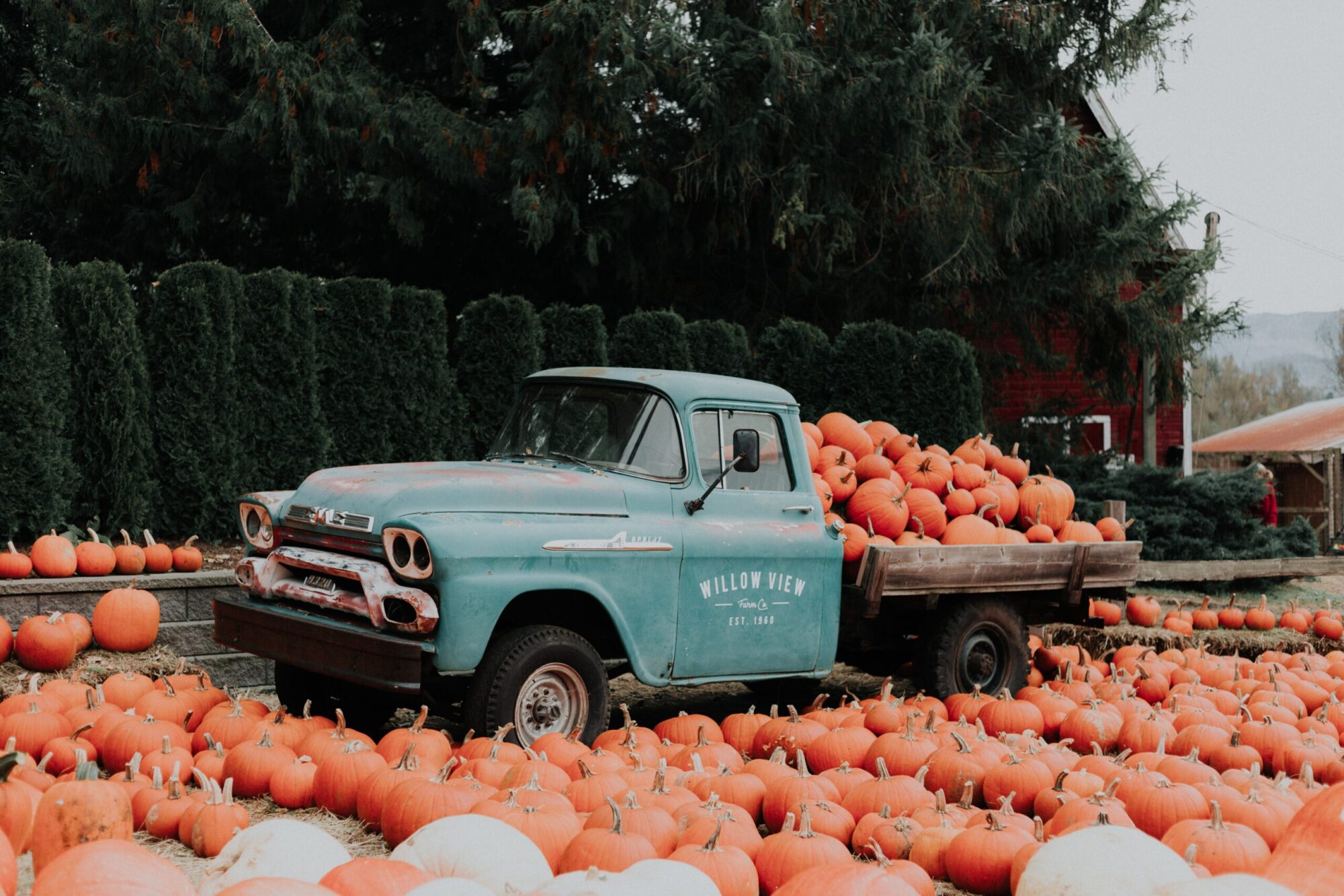 A Pumpkin Sale is one of many great Halloween Themed Fundraising Ideas